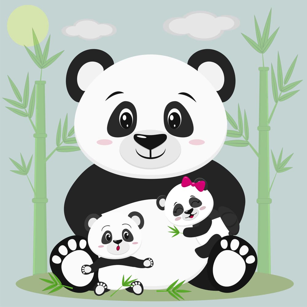Bamboo